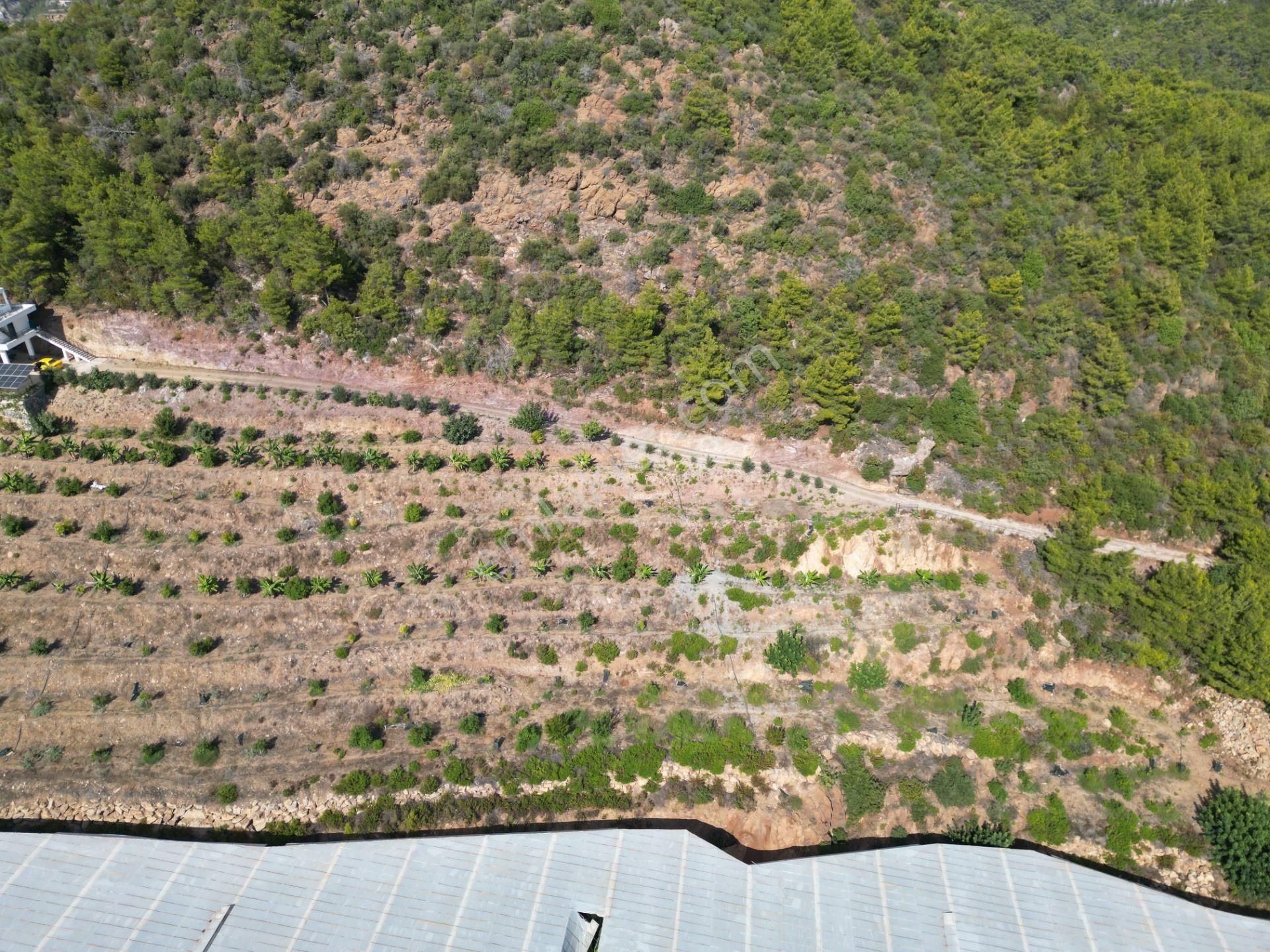 Alanya Özvadi Mah. Satılık Müstakil Ev Satılık 7.250 M² - Görsel 6