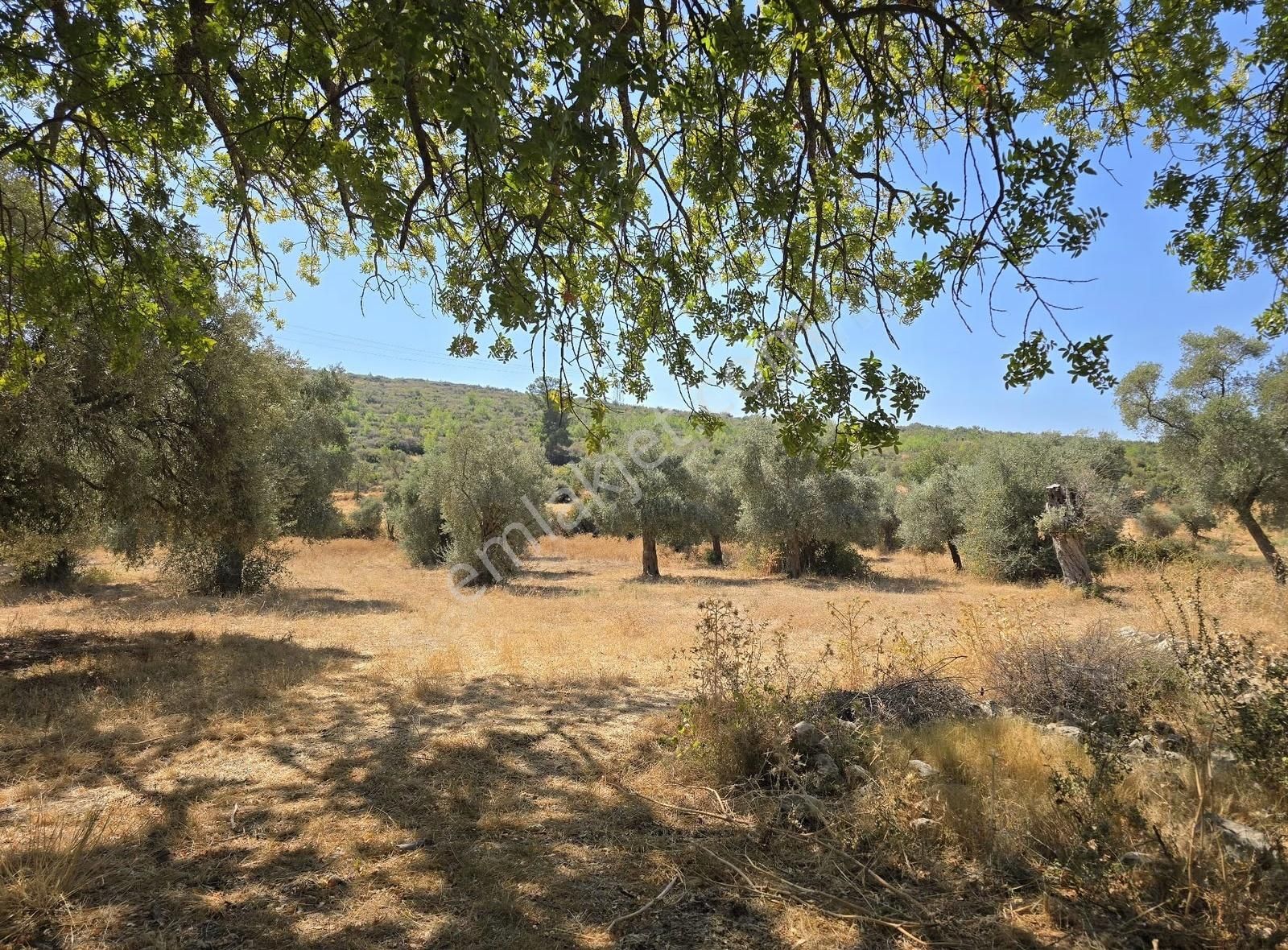 Yıldırım Mühendislikten Pinar Mah.."3.324 M2 "yola Cephe Arazi - Görsel 5