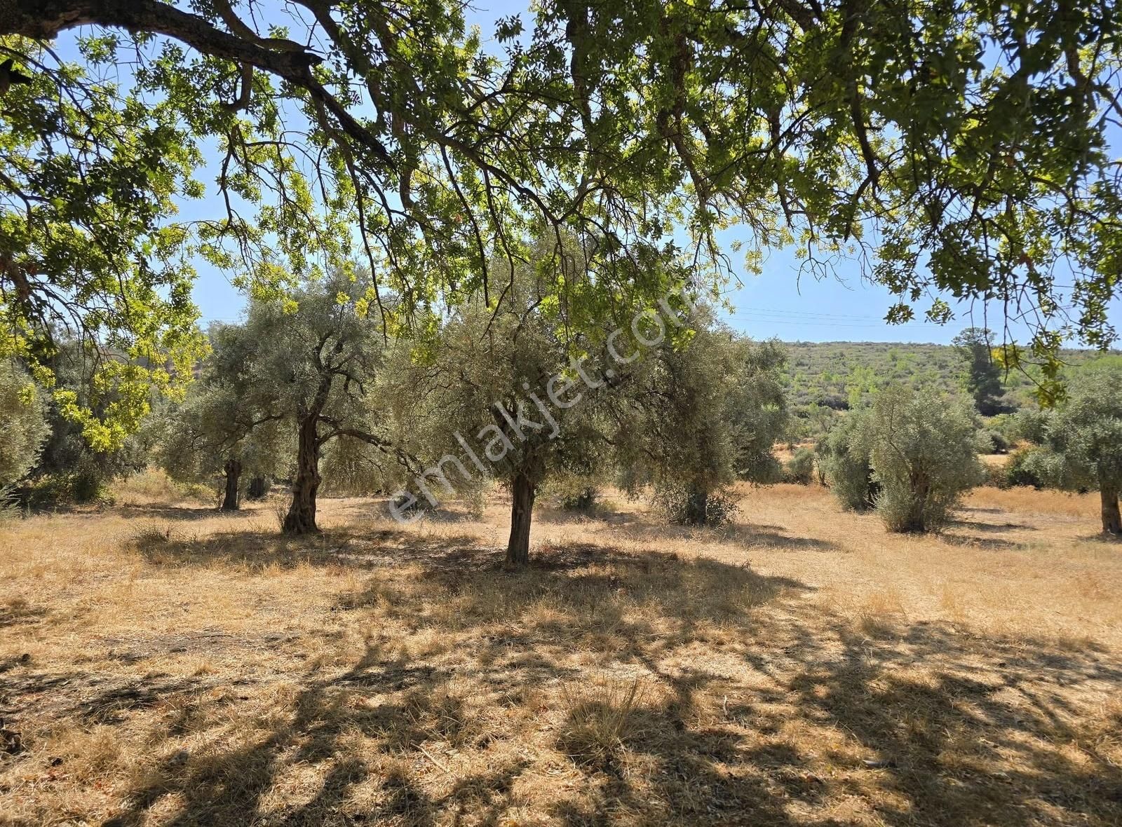 Yıldırım Mühendislikten Pinar Mah.."3.324 M2 "yola Cephe Arazi - Görsel 4