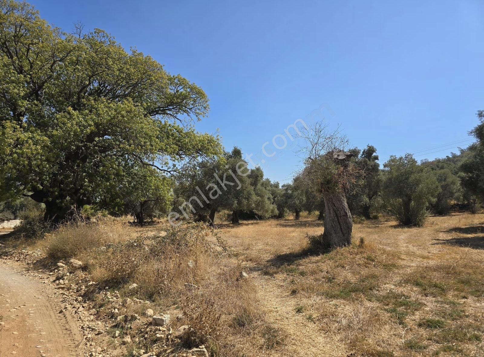 Yıldırım Mühendislikten Pinar Mah.."3.324 M2 "yola Cephe Arazi - Görsel 6