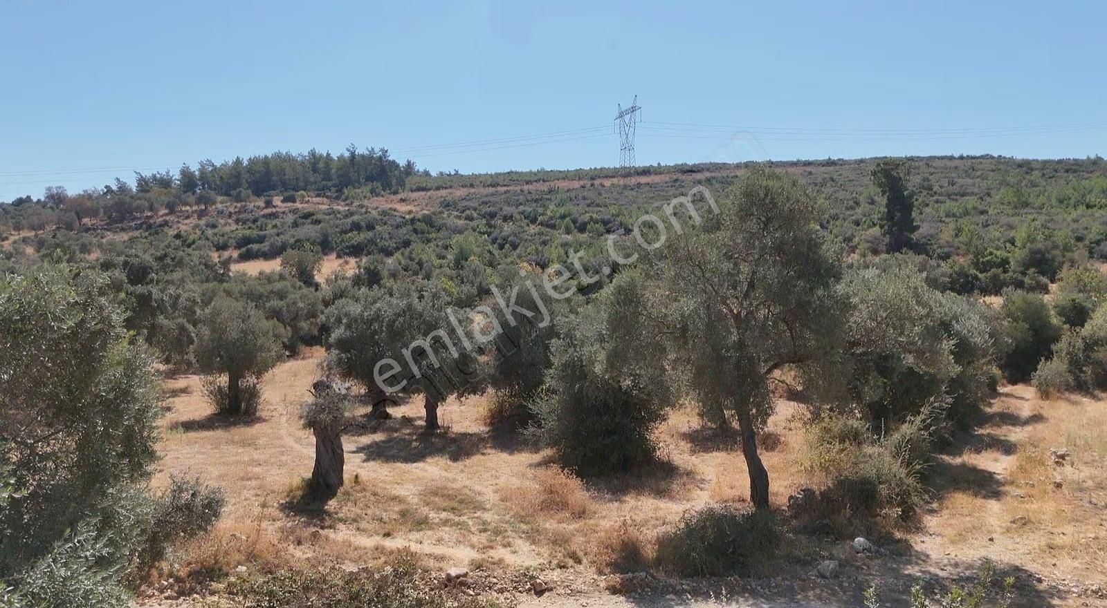 Yıldırım Mühendislikten Pinar Mah.."3.324 M2 "yola Cephe Arazi - Görsel 3