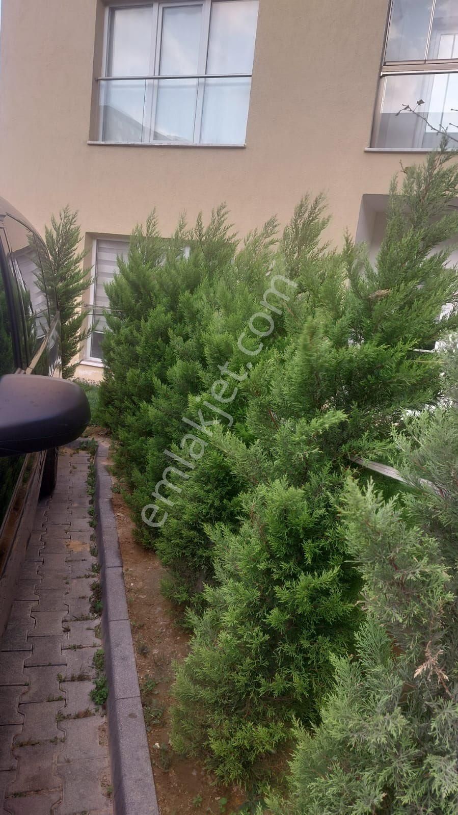 Bahçeşehir Yuvam Göl Evlerinde Kaçmaz - Görsel 15