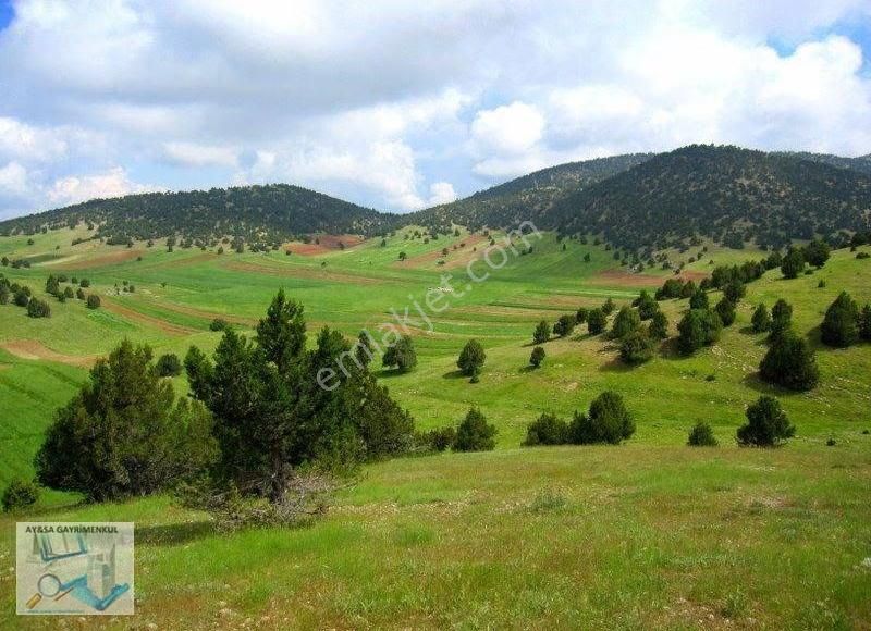 Burdur İlyas'ta 8400m2 Müstakil Tapulu Arazi - Görsel 8