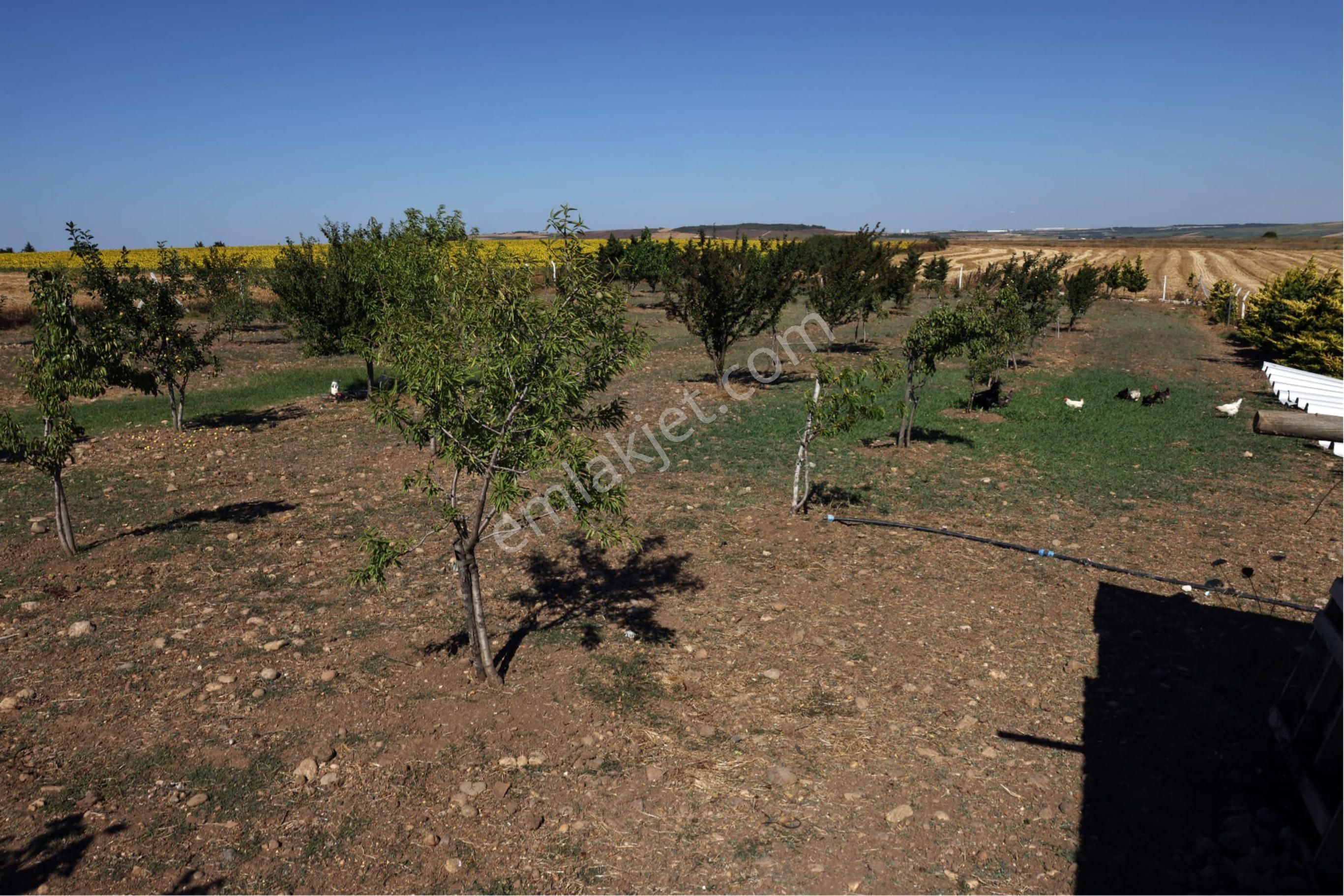 Çatalca İzzettin Mah. 4360 M2 İçinde 200 M2 Villa - Görsel 21