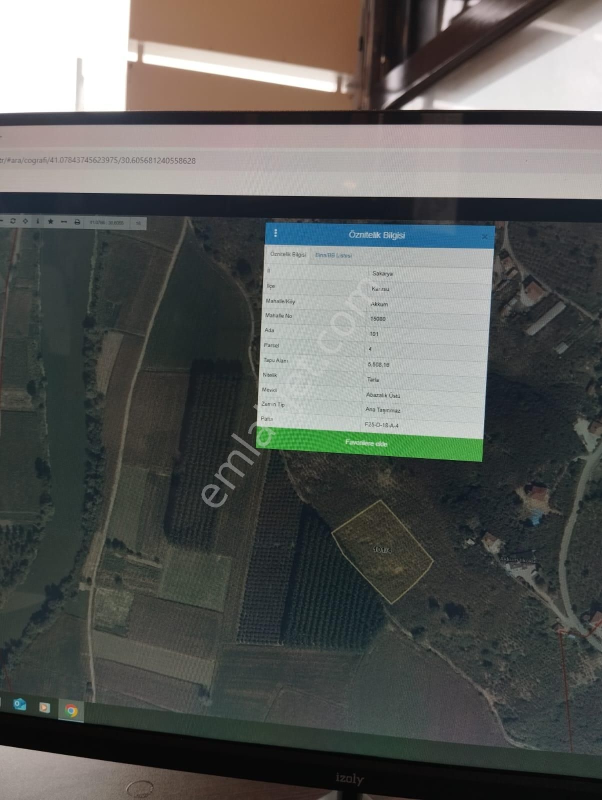 İgr Gayrimenkul Akkum Köyü 5508m² Fındık Bahçesi, Kadastro Ölçümü 9000m² - Görsel 2