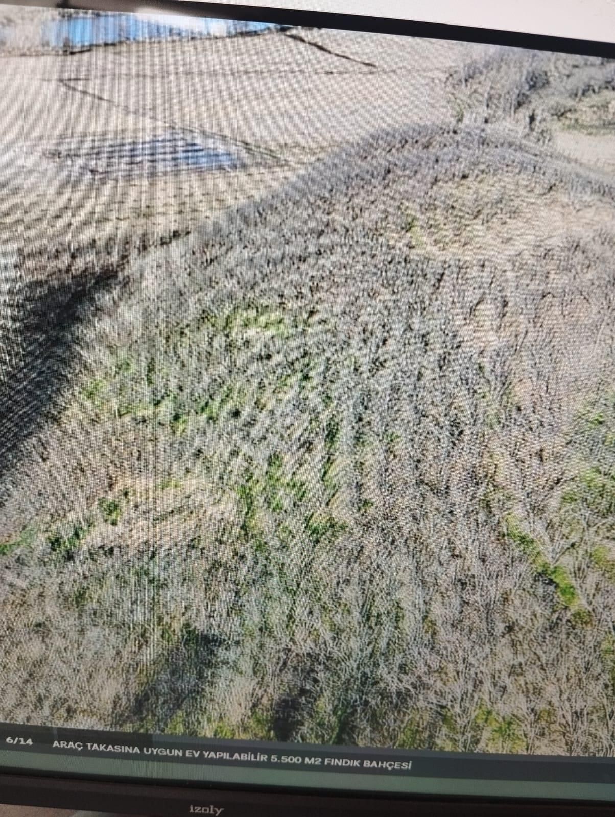 İgr Gayrimenkul Akkum Köyü 5508m² Fındık Bahçesi, Kadastro Ölçümü 9000m² - Görsel 6