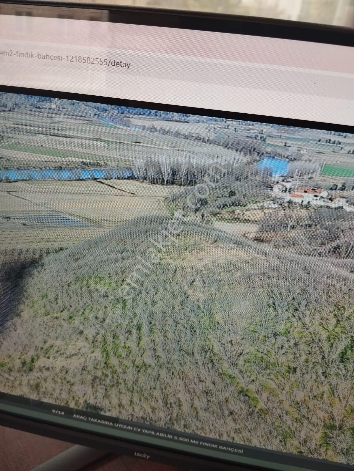 İgr Gayrimenkul Akkum Köyü 5508m² Fındık Bahçesi, Kadastro Ölçümü 9000m² - Görsel 4