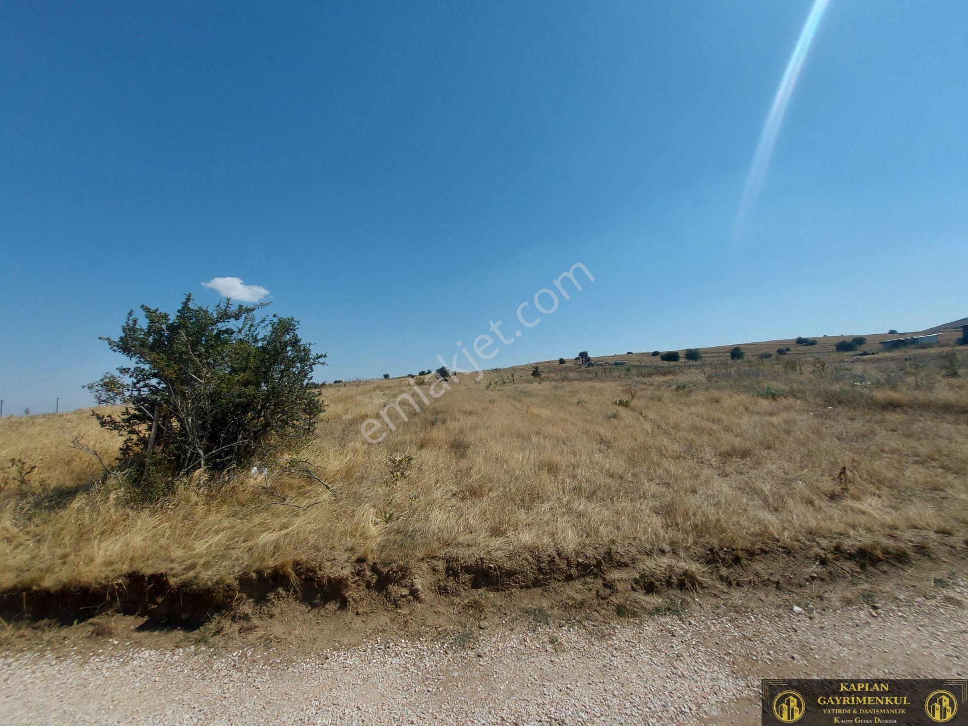 Kaplan Gayrimenkul’den Karadere Mahallesinde 7500 M² Satılık Tarla
