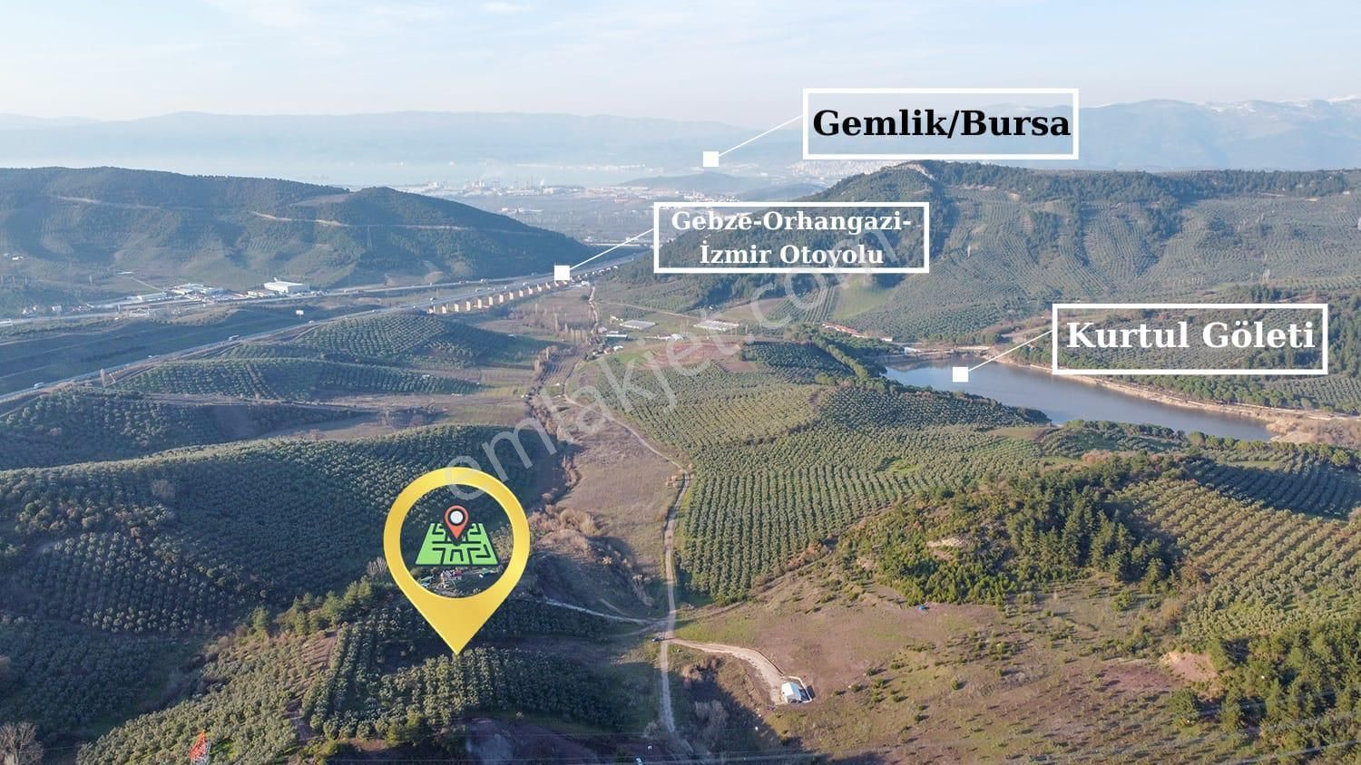Antant Emlaktan Satılık Zeytinlik - Görsel 3