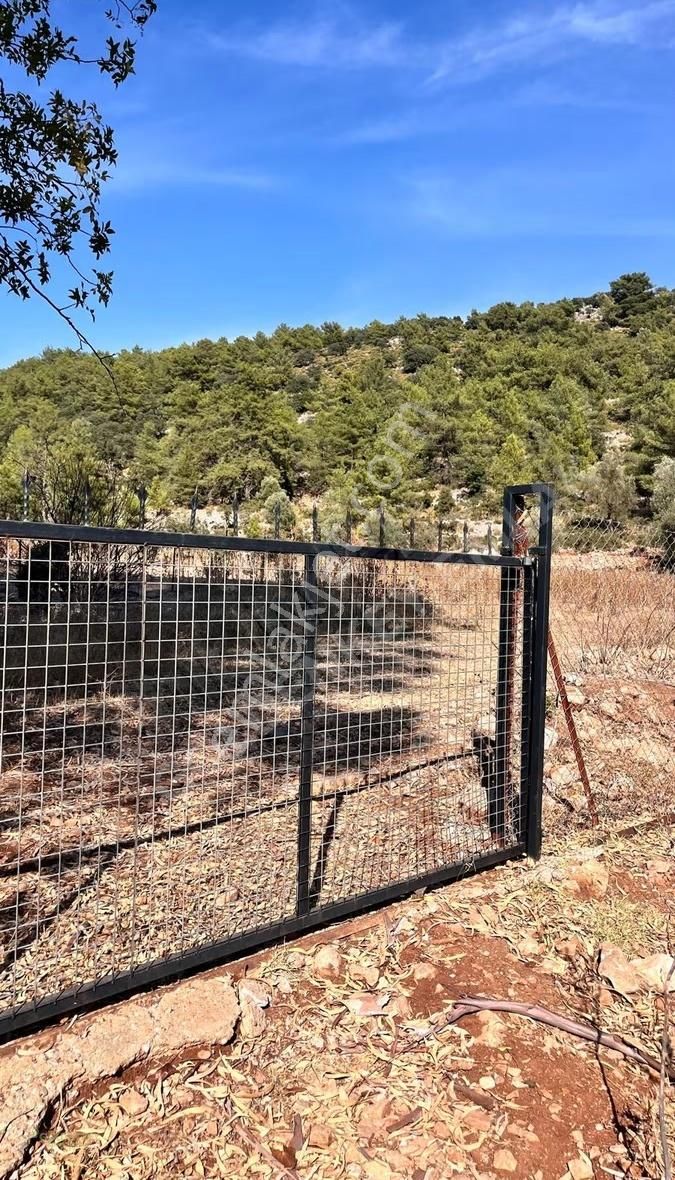 Satılık Arsa Fethiye Kayaköy'de 3.000 M² Fırsat - Görsel 6