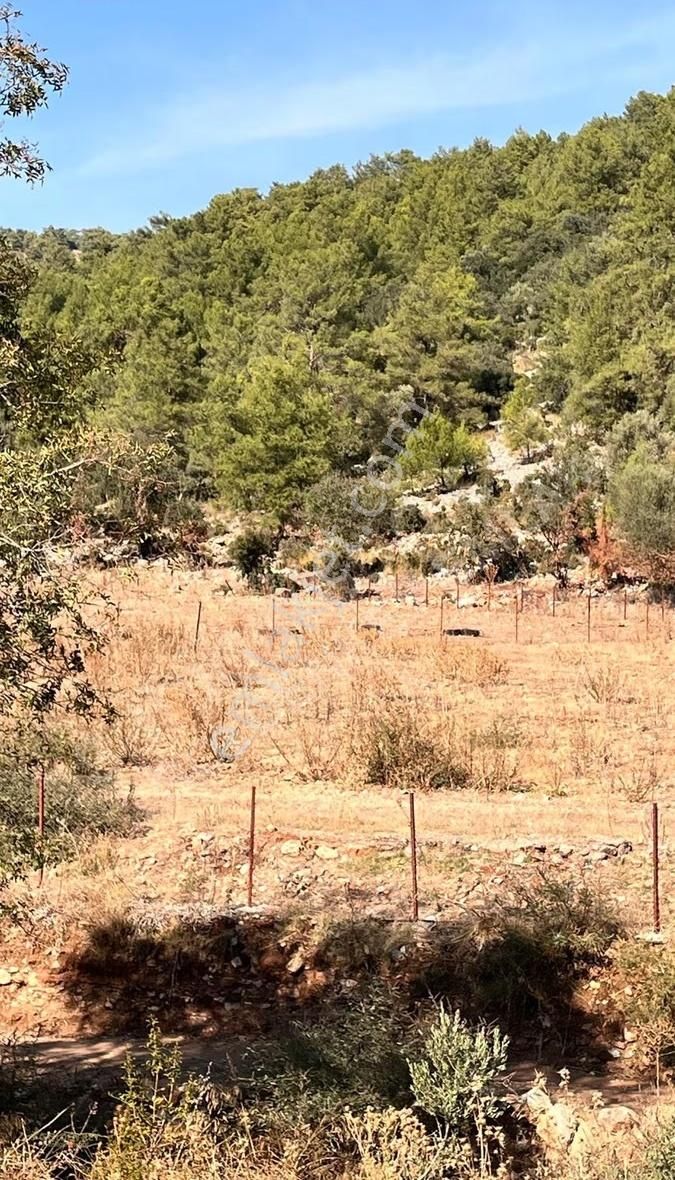 Satılık Arsa Fethiye Kayaköy'de 3.000 M² Fırsat - Görsel 11