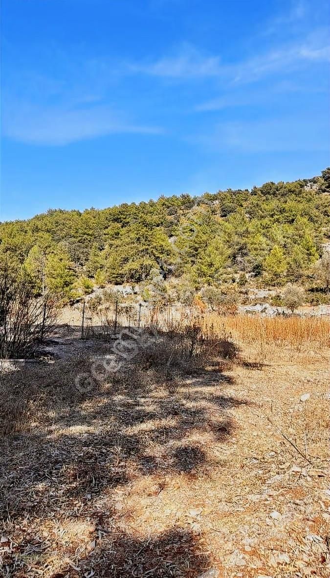 Satılık Arsa Fethiye Kayaköy'de 3.000 M² Fırsat - Görsel 2