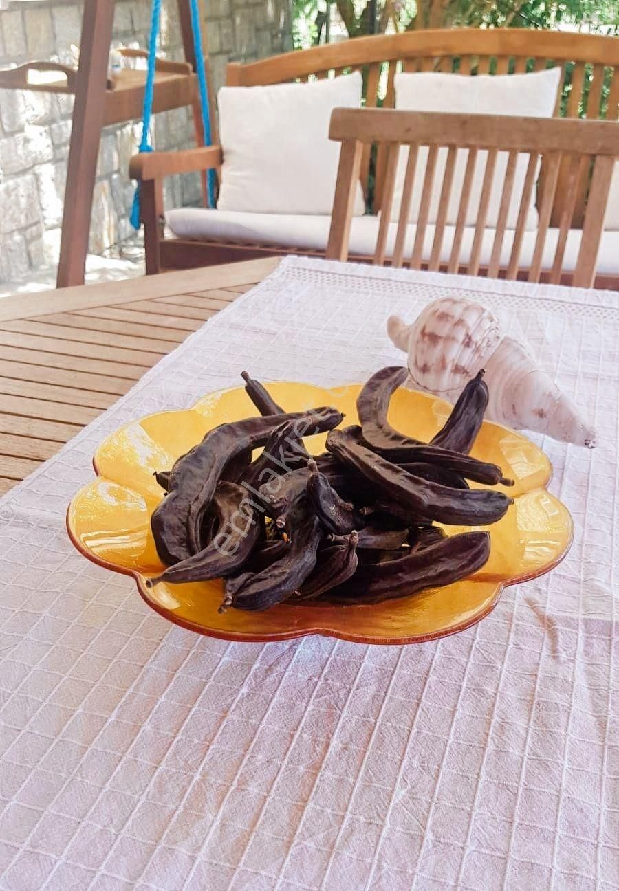 Datça Mesudıye 1700m2 Arazı Içerısınde Kıralık Havuzlu 5+2 Vılla - Görsel 3