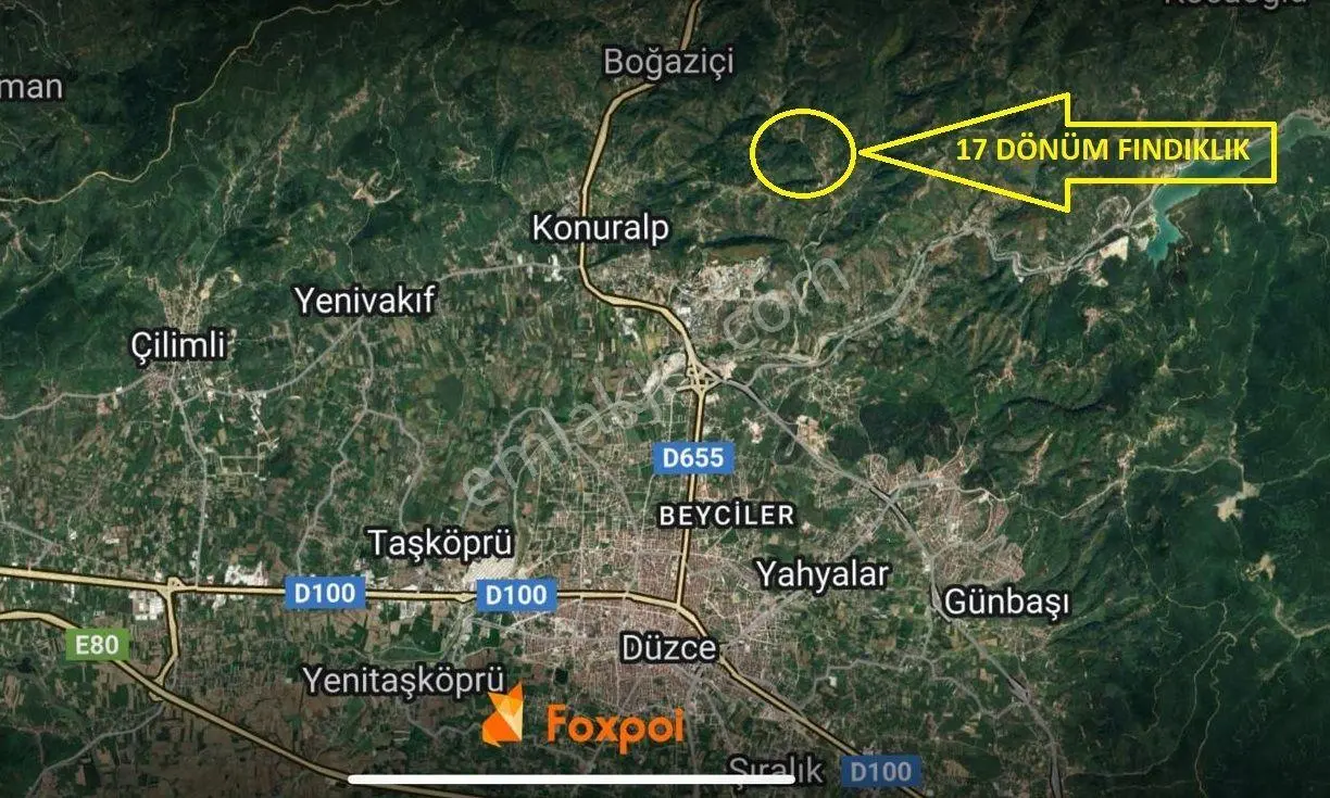 Düzce Merkez Kozluk Köyünde Satılık 17 Dönüm Hisse Tapulu Fındıklık.