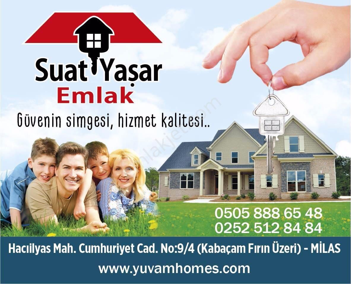 Milas Hasanlar Mah De Satılık Zeytinli Tarla