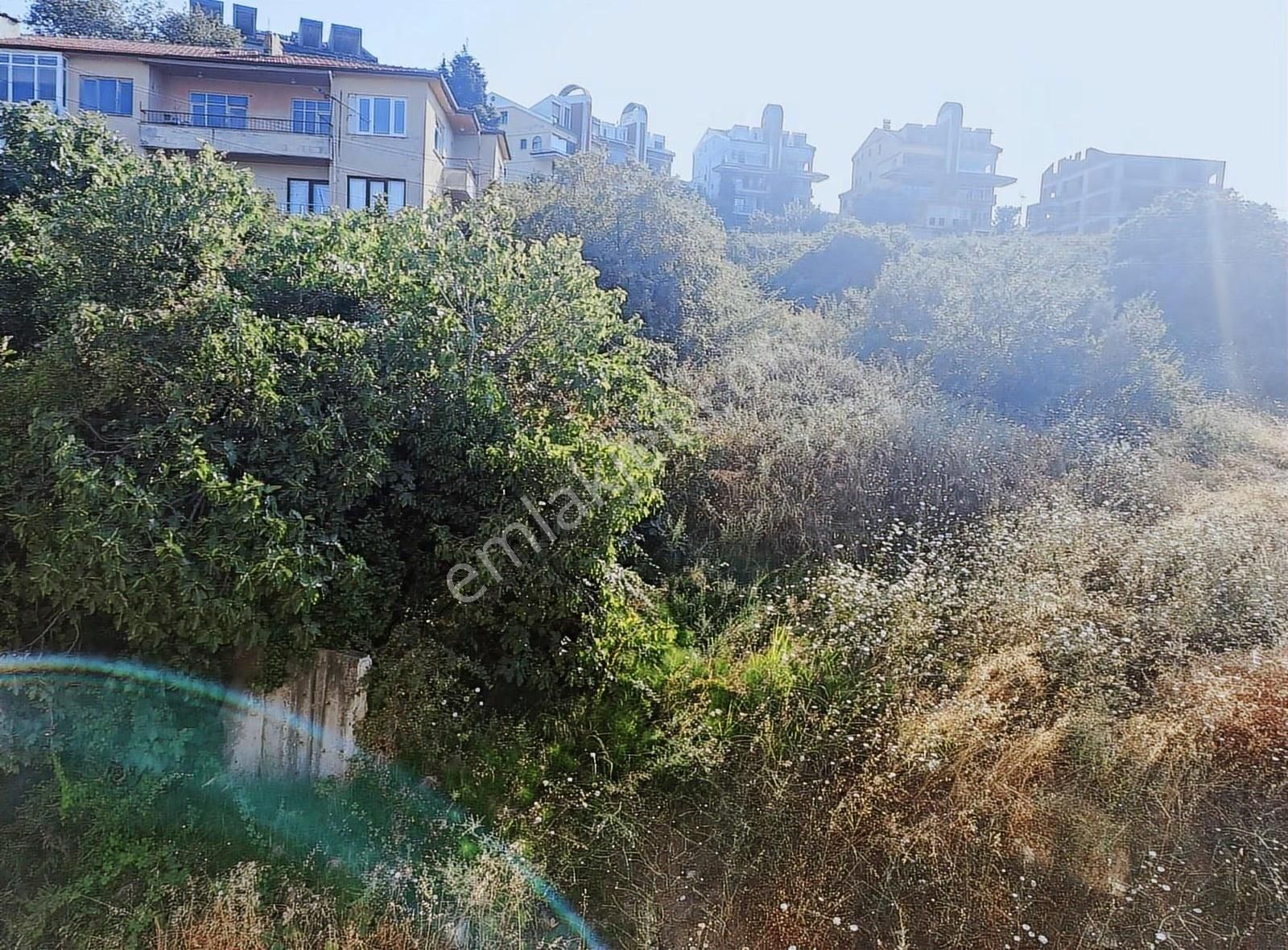 Yalova Çınarcık Koru Mevkii Satılık Dairemiz - Görsel 12