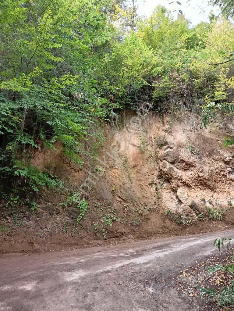 Wisrem'den Trabzon Ortahisar'da Yolu Açık Satılık Arsa - Görsel 5