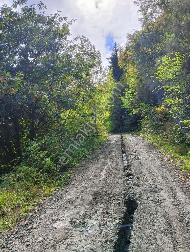 Wisrem'den Trabzon Ortahisar'da Yolu Açık Satılık Arsa - Görsel 9
