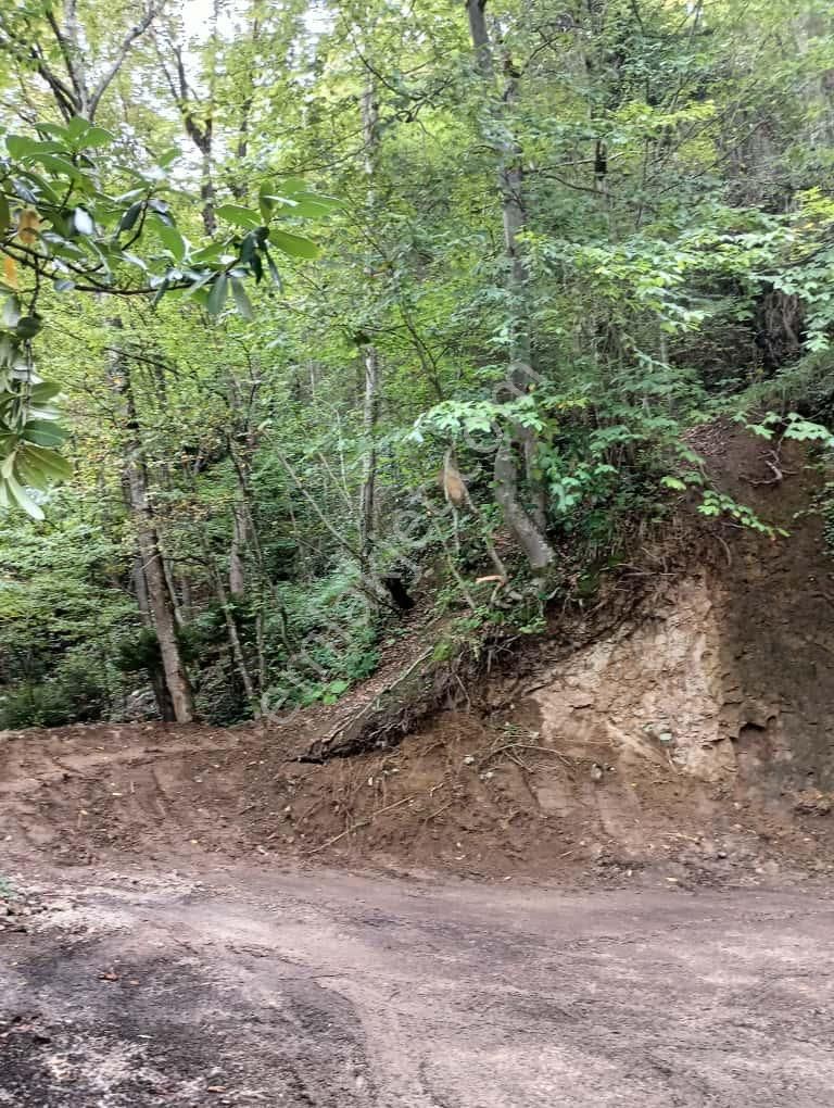Wisrem'den Trabzon Ortahisar'da Yolu Açık Satılık Arsa - Görsel 8