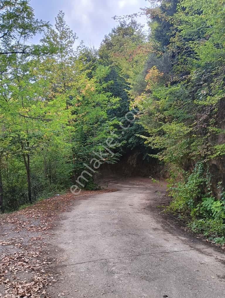 Wisrem'den Trabzon Ortahisar'da Yolu Açık Satılık Arsa - Görsel 15