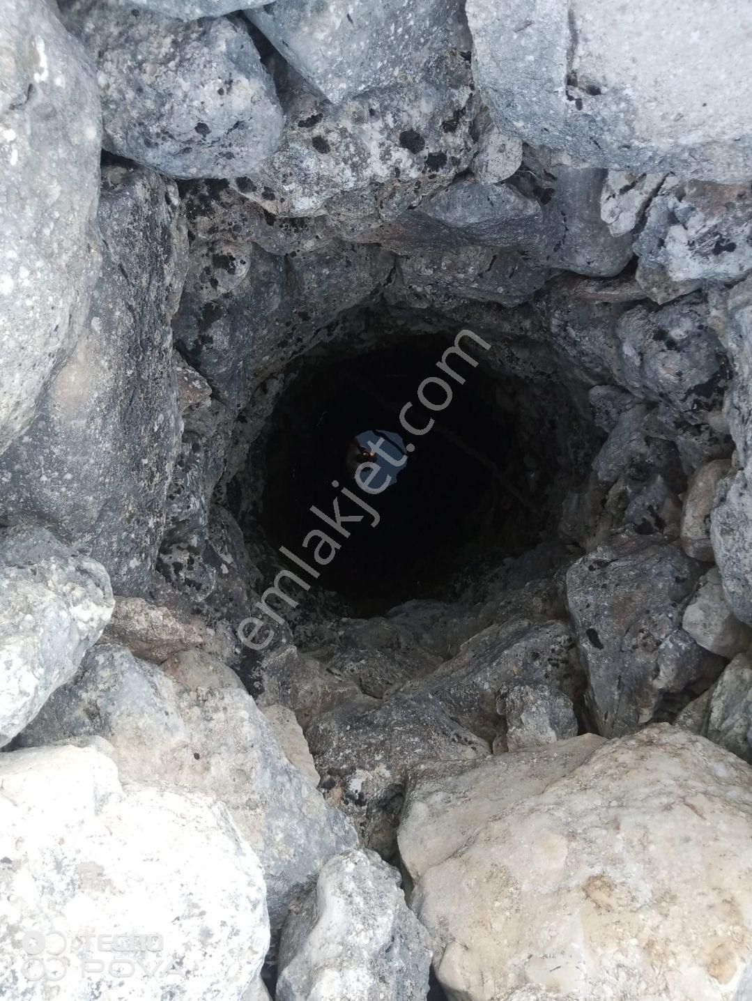 Çağlayan Emlaktan Gülnar Kuskanda Satılık Elma Bahçesi - Görsel 3