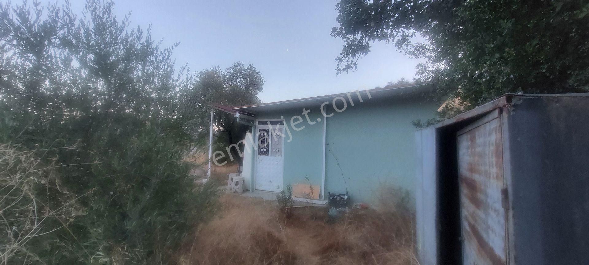 Nazilli Dereağzı Köyünde İçerisinde Hobi Evi Olan Manzaralı 1625 M2 Satılık Bahçe - Görsel 3