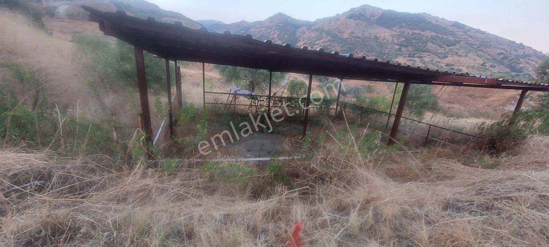 Nazilli Dereağzı Köyünde İçerisinde Hobi Evi Olan Manzaralı 1625 M2 Satılık Bahçe - Görsel 9