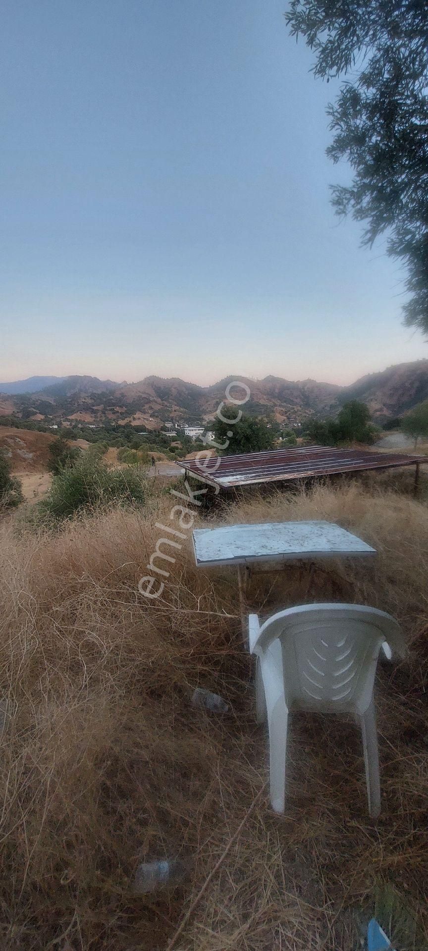 Nazilli Dereağzı Köyünde İçerisinde Hobi Evi Olan Manzaralı 1625 M2 Satılık Bahçe - Görsel 17