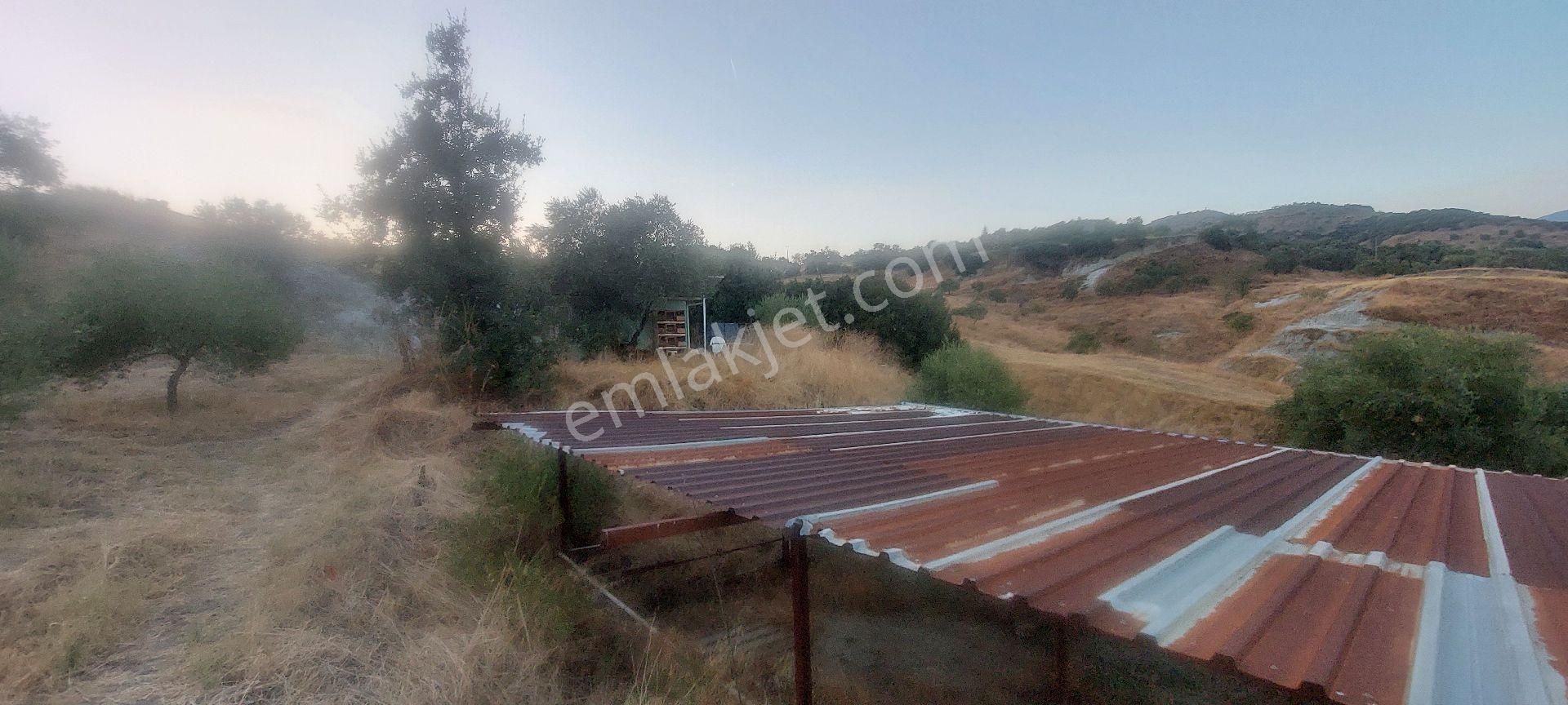 Nazilli Dereağzı Köyünde İçerisinde Hobi Evi Olan Manzaralı 1625 M2 Satılık Bahçe - Görsel 11