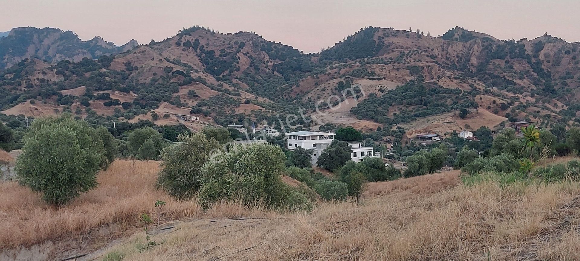 Nazilli Dereağzı Köyünde İçerisinde Hobi Evi Olan Manzaralı 1625 M2 Satılık Bahçe - Görsel 15