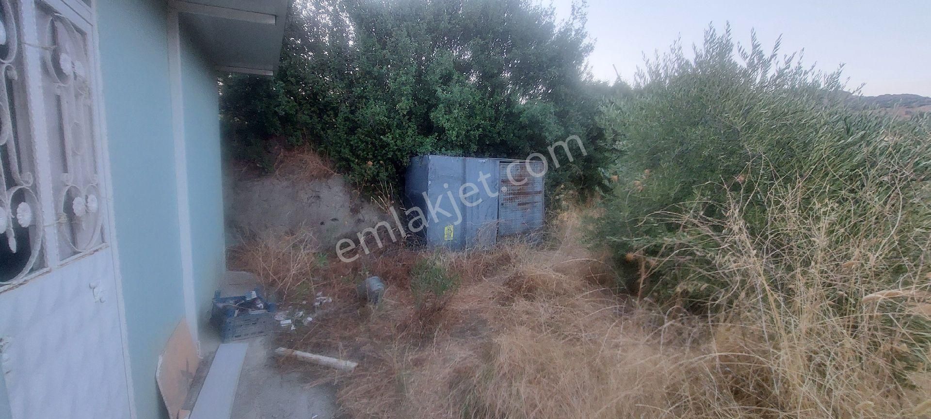 Nazilli Dereağzı Köyünde İçerisinde Hobi Evi Olan Manzaralı 1625 M2 Satılık Bahçe - Görsel 4