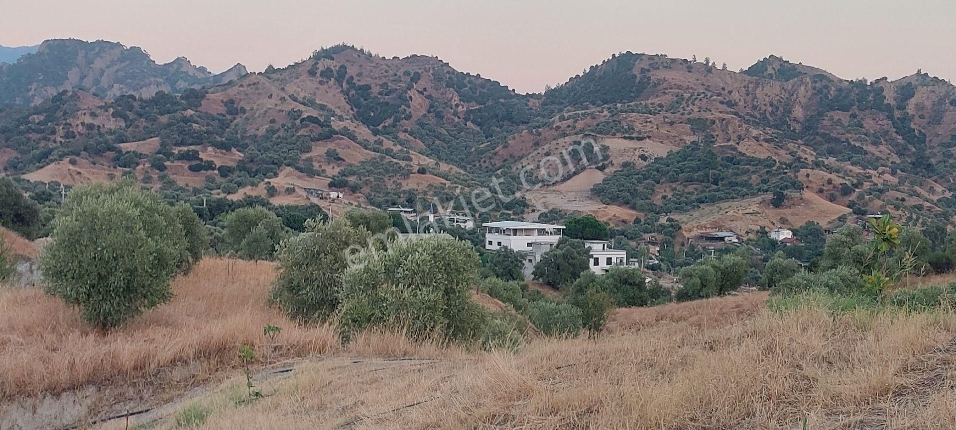 Nazilli Dereağzı Köyünde İçerisinde Hobi Evi Olan Manzaralı 1625 M2 Satılık Bahçe - Görsel 14