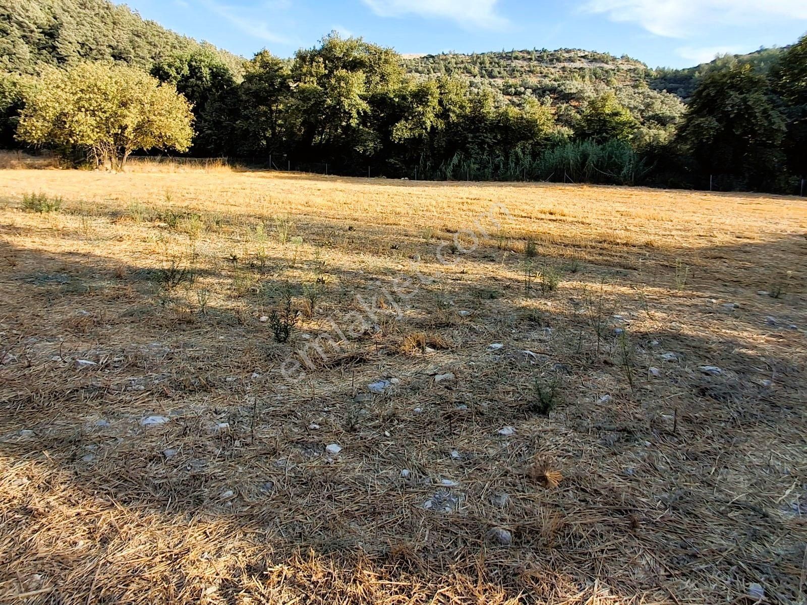 Mılas Ören Denızıne 15 Dakıka Mesafede Satılık Tarla - Görsel 7