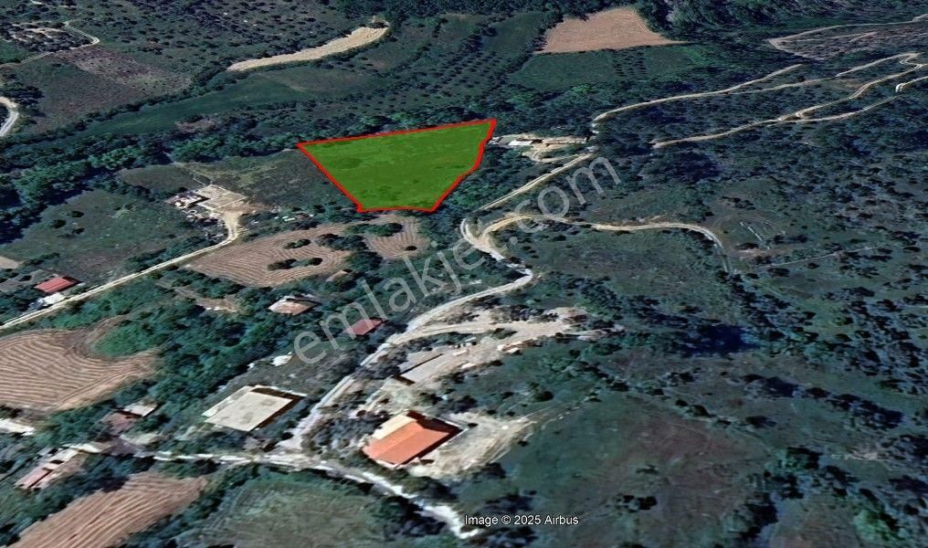Mılas Ören Denızıne 15 Dakıka Mesafede Satılık Tarla - Görsel 22