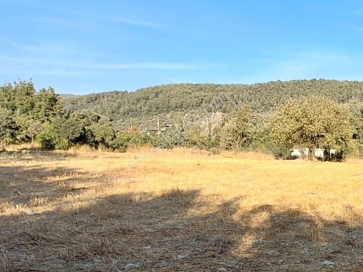 Mılas Ören Denızıne 15 Dakıka Mesafede Satılık Tarla - Görsel 11