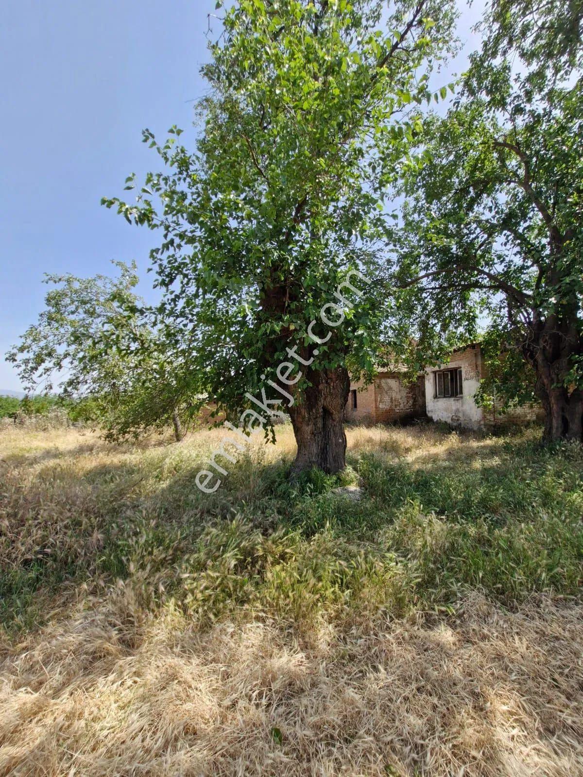 İsabeyli Mah. Karayolu Kenarı Satılık 7.853 M2 Arsa - Görsel 13