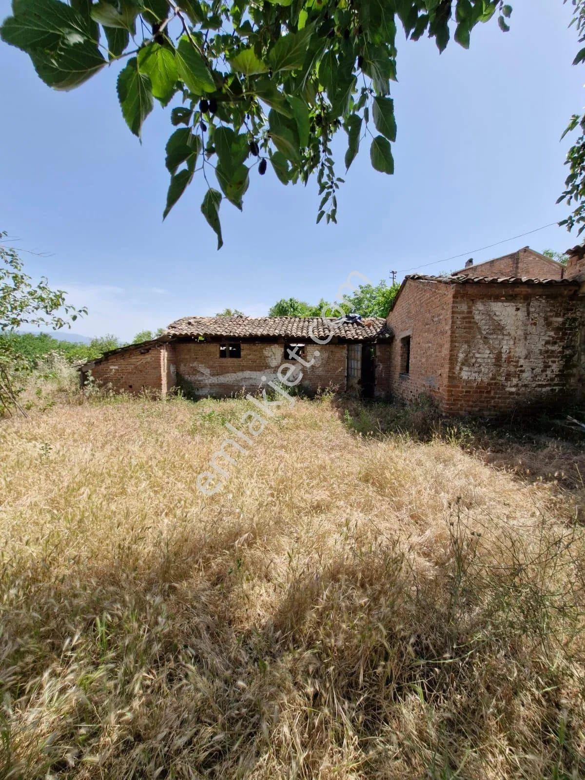 İsabeyli Mah. Karayolu Kenarı Satılık 7.853 M2 Arsa - Görsel 12