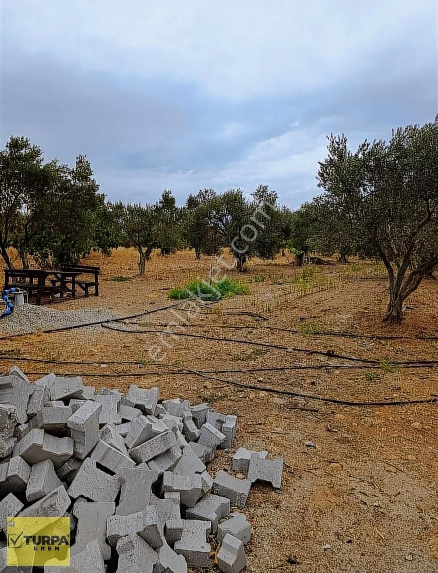 Torbalı Çapak Mah. Satılık Tarla - Görsel 9