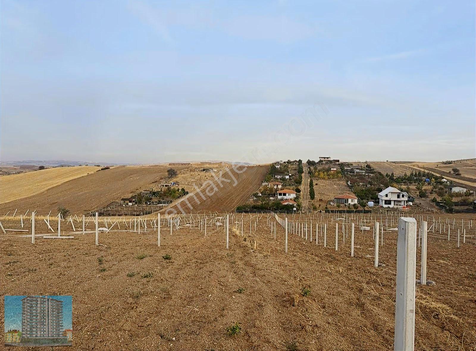 Tapulu Elektrikli Tel Örgülü Bahçe Arsa - Görsel 8
