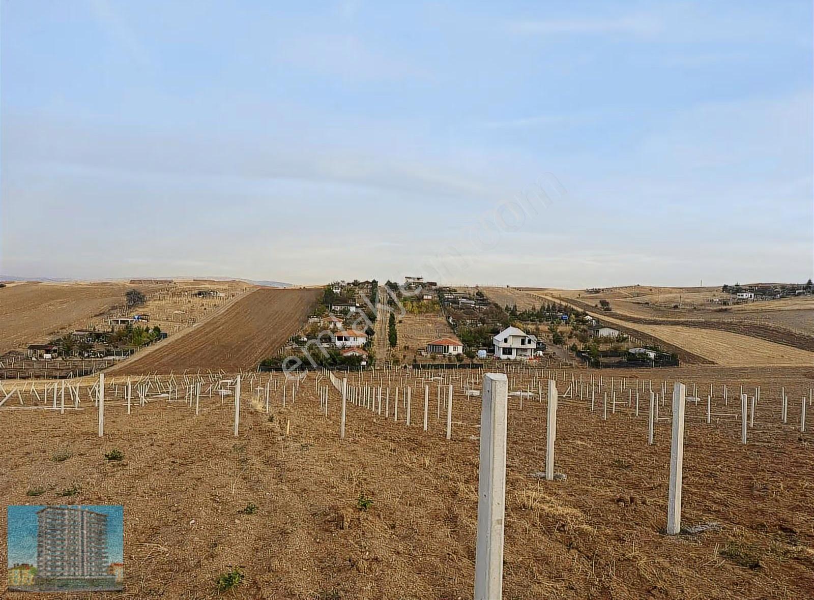 Tapulu Elektrikli Tel Örgülü Bahçe Arsa - Görsel 9