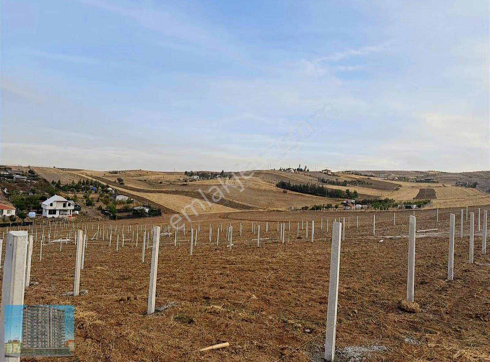 Tapulu Elektrikli Tel Örgülü Bahçe Arsa - Görsel 10