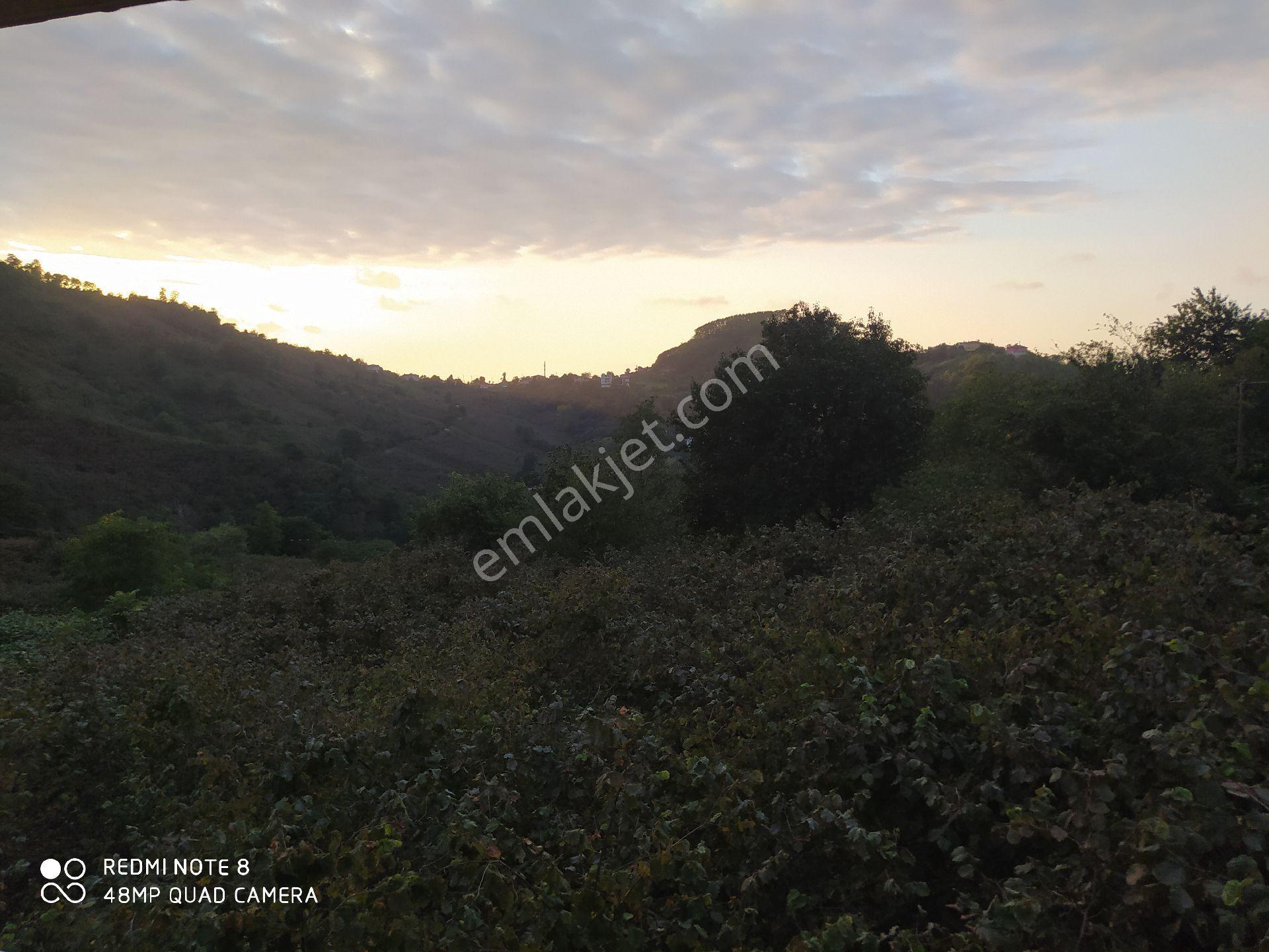 Sahibinden Ordu Perşembe Çaka Plajına Yakın ,emsali Zor Büyük Teras,doğa Ve Deniz Manzaralı - Görsel 2