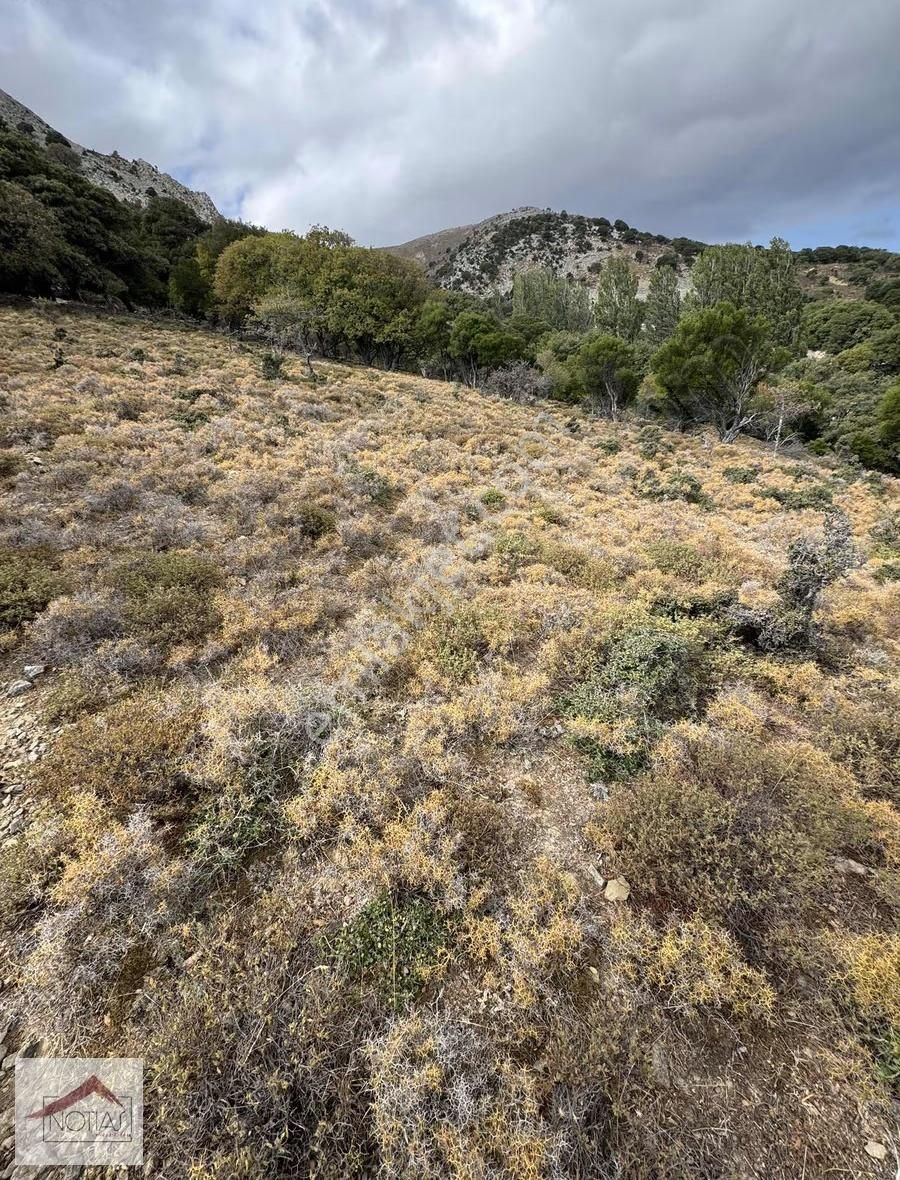 Notıas Real Estate Gayrimenkul'den 1.496 M2 Tarla - Görsel 17