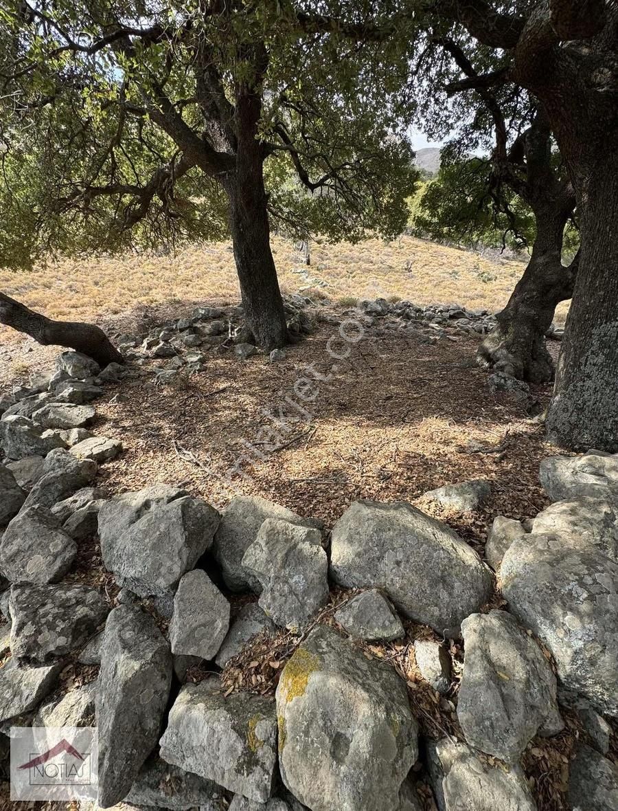 Notıas Real Estate Gayrimenkul'den 1.496 M2 Tarla - Görsel 3