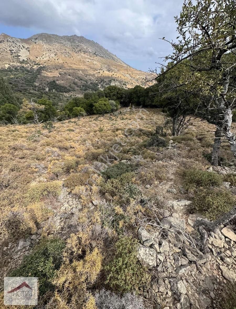 Notıas Real Estate Gayrimenkul'den 1.496 M2 Tarla - Görsel 15