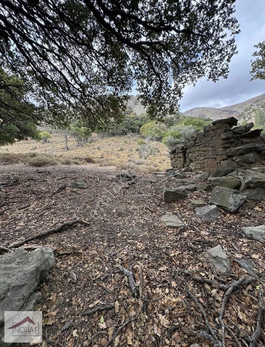 Notıas Real Estate Gayrimenkul'den 1.496 M2 Tarla - Görsel 18