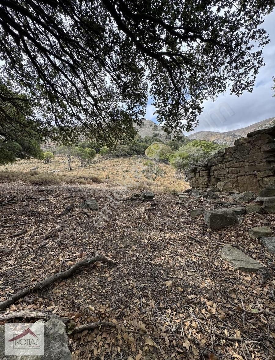 Notıas Real Estate Gayrimenkul'den 1.496 M2 Tarla - Görsel 12