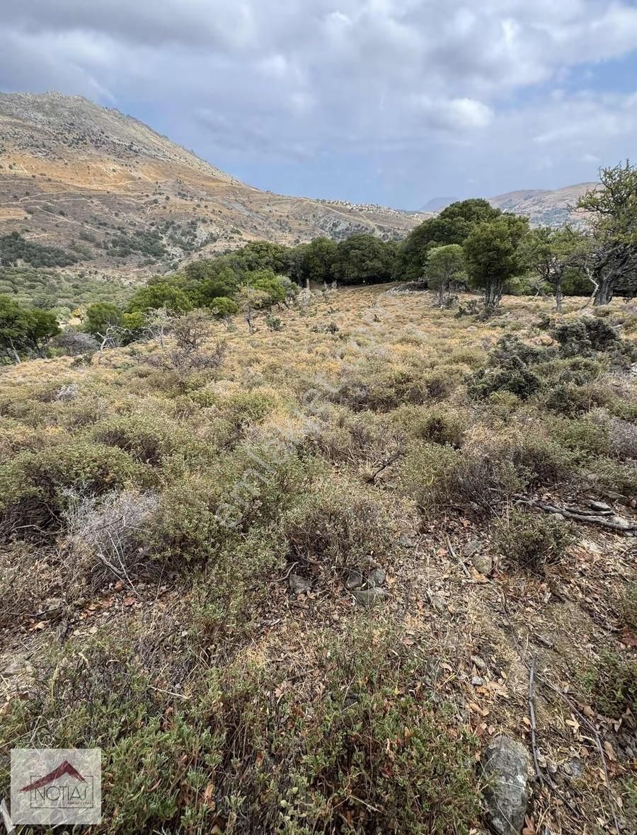 Notıas Real Estate Gayrimenkul'den 1.496 M2 Tarla - Görsel 4