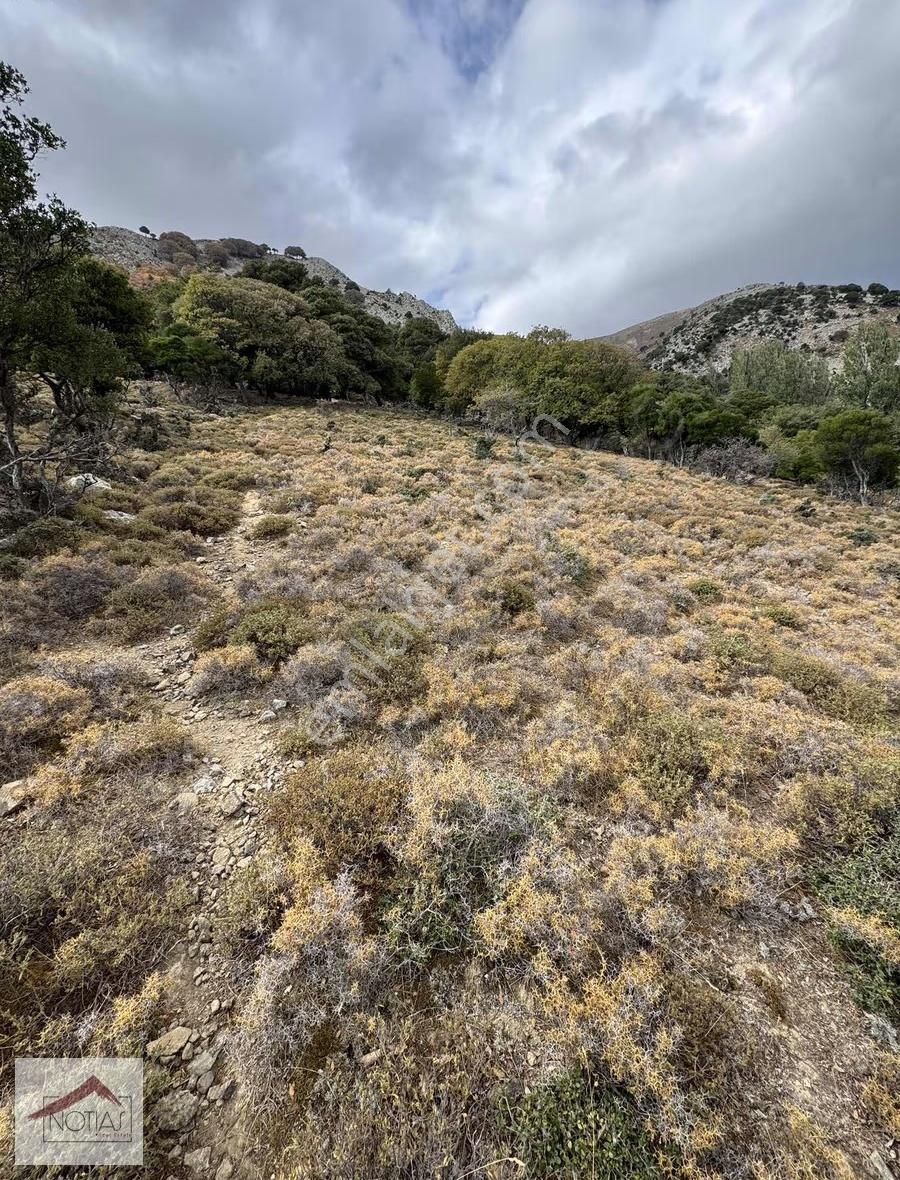 Notıas Real Estate Gayrimenkul'den 1.496 M2 Tarla - Görsel 6