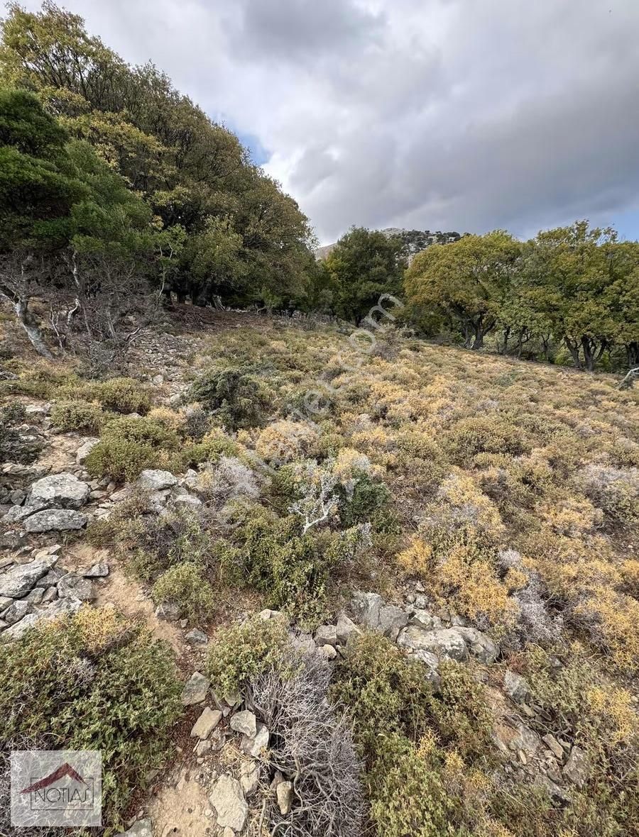 Notıas Real Estate Gayrimenkul'den 1.496 M2 Tarla - Görsel 13